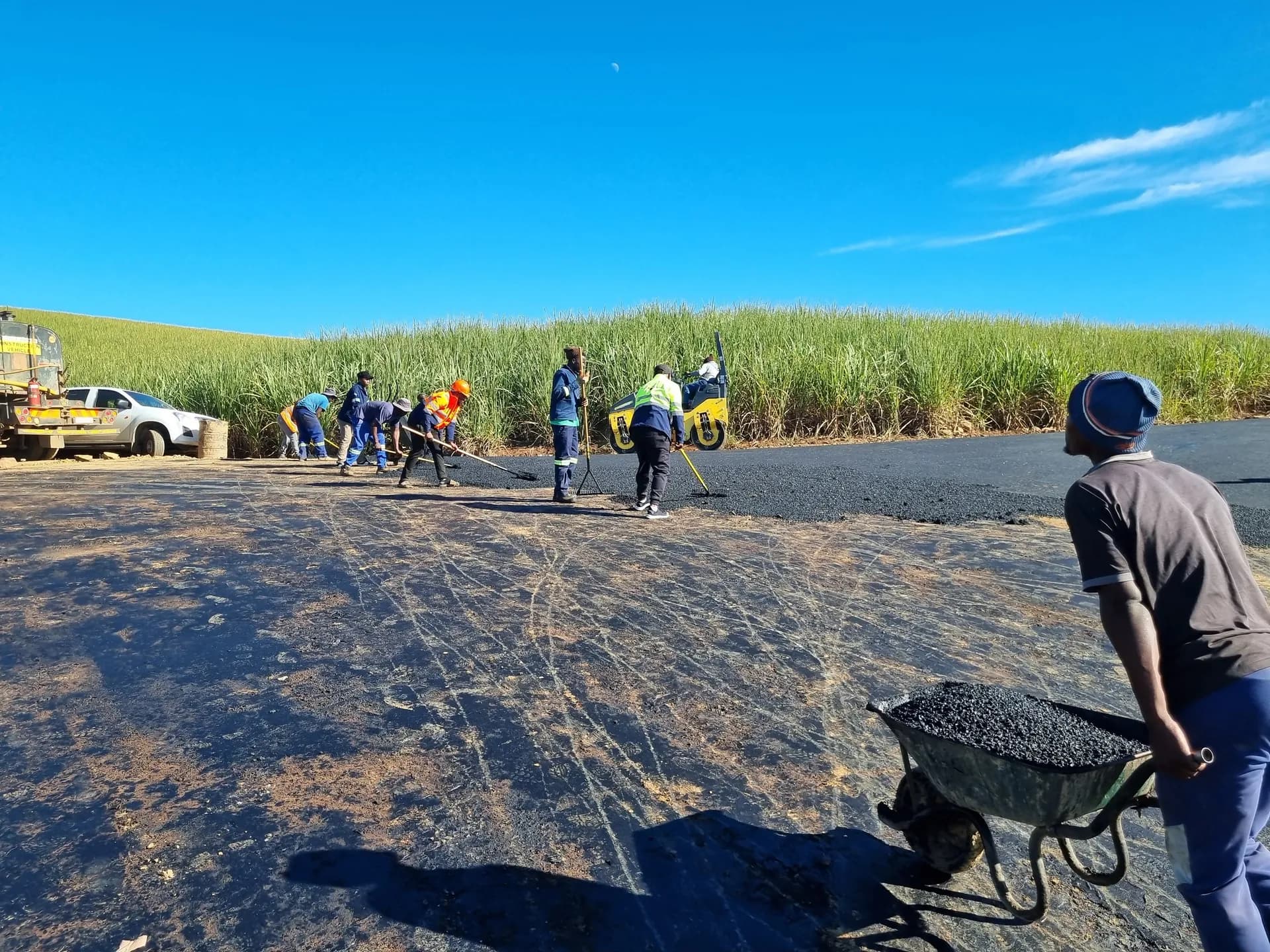 Raking asphalt by hand beside sugar cane fields